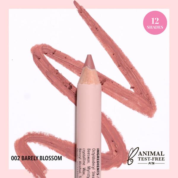 Lapiz Labial Signature MOIRA