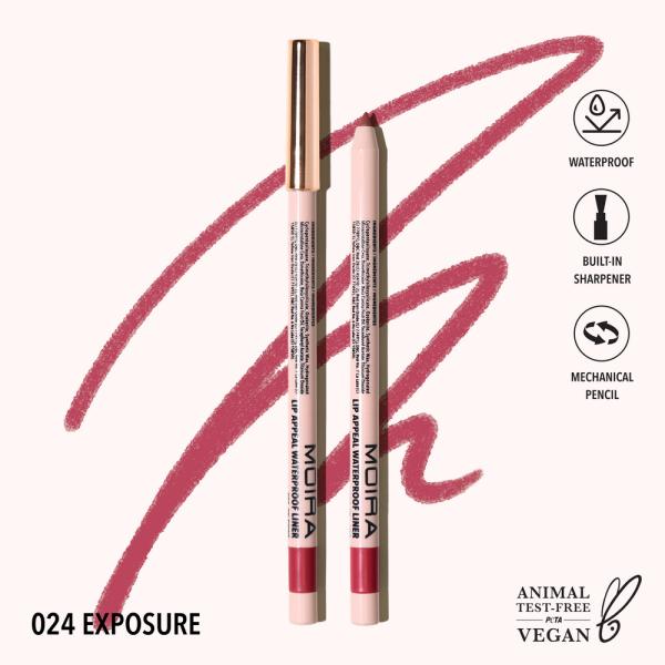 Lapiz De Labios Lip Appeal Moira
