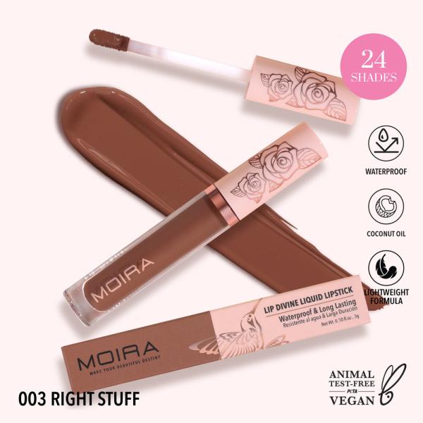 Labial Liquido Divine MOIRA