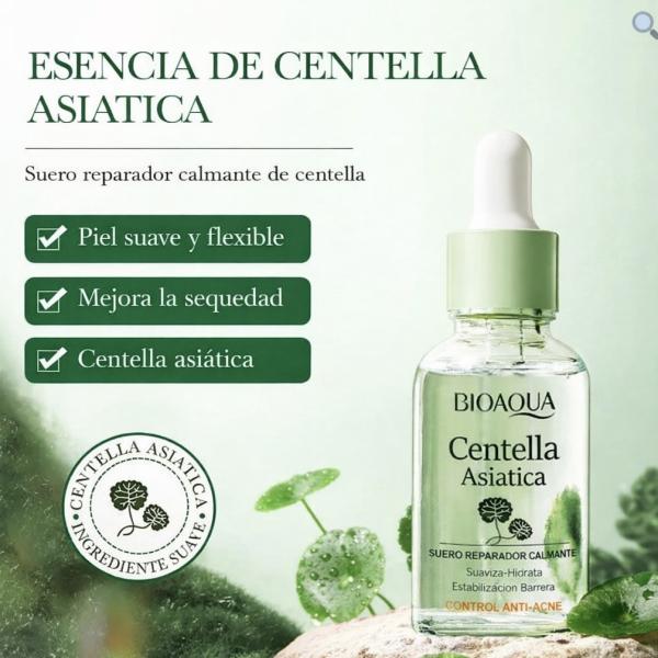 Serum De Centella Asiatica