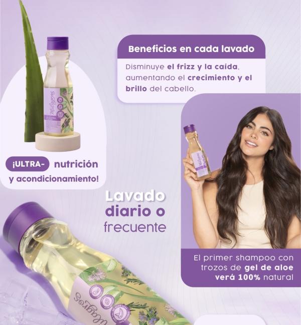 Shampoo Ultra Nutritivo Premium Con Aloe vera Milagros 450ml