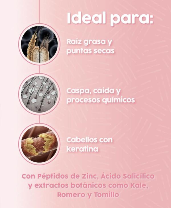 Shampoo Anticaspa Sin Sal Milagros 450ml