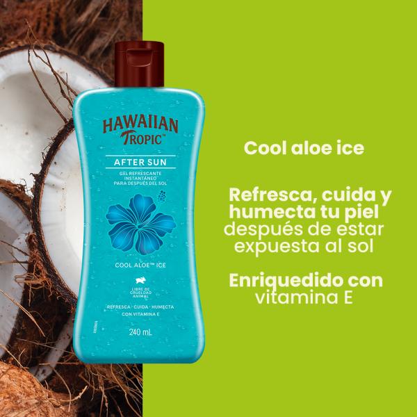 Gel Refrescante Instantaneo Para Despues De El Sol 240ml